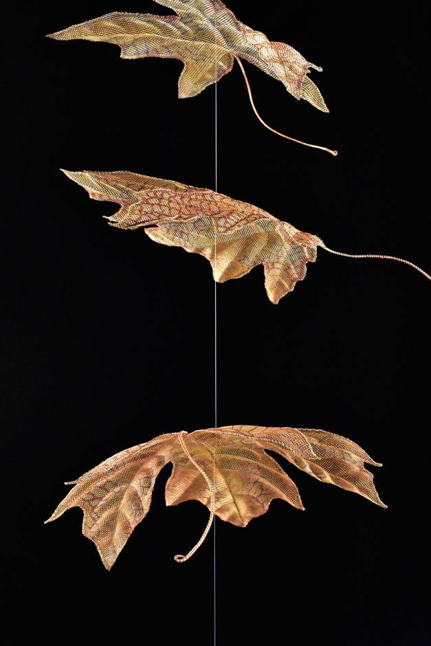 Cascading Maple Leaves