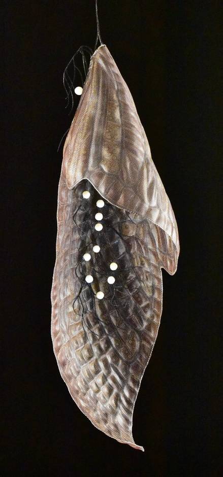 Chrysalis