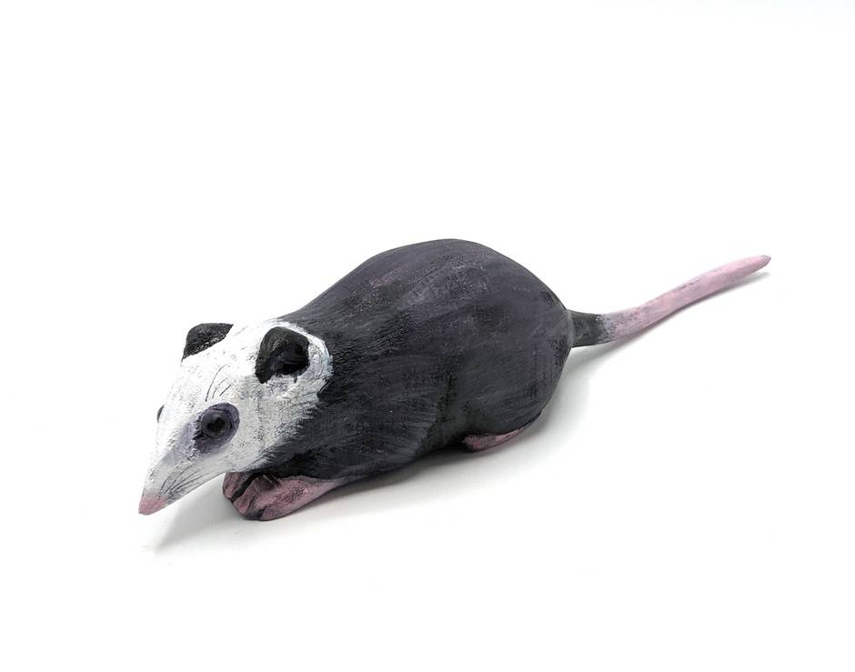 Baby Oppossum #2