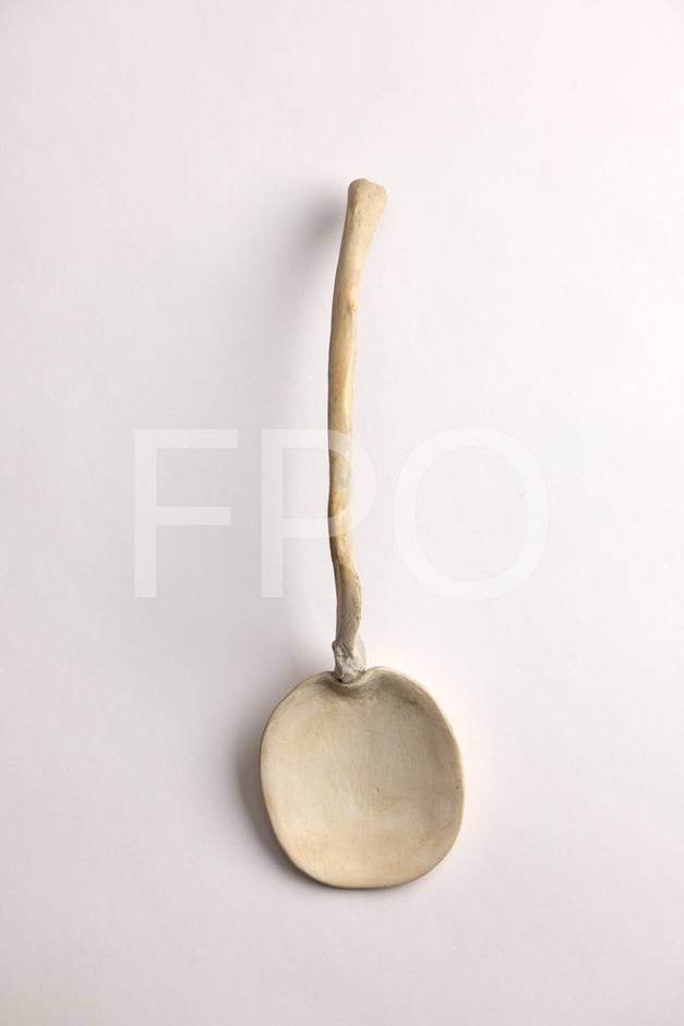 Spoon 5
