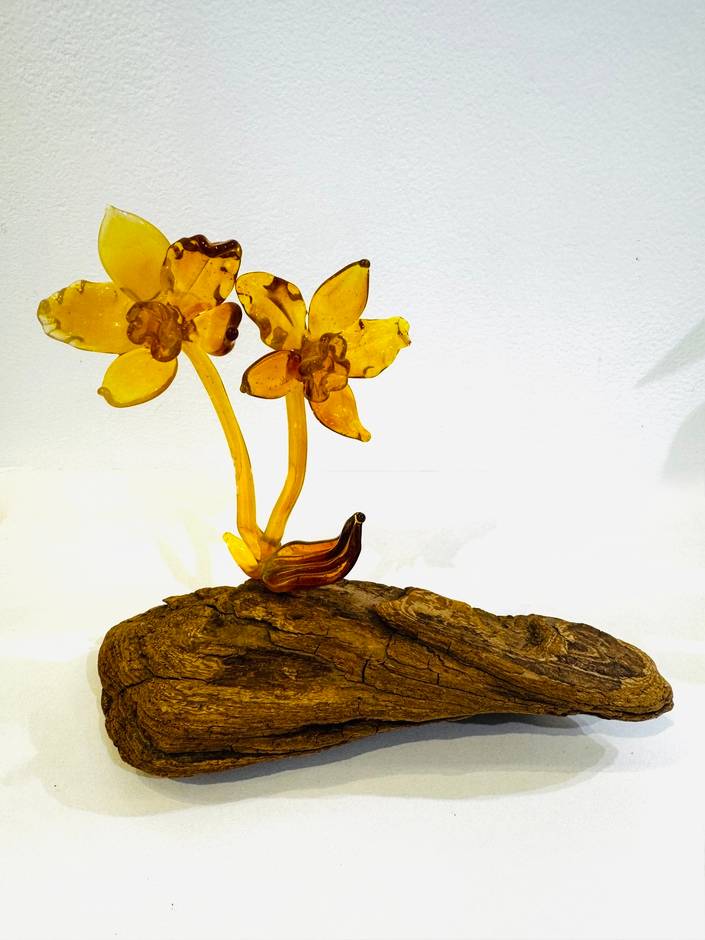 Double Daffodil on Wood