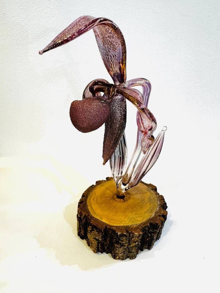 Orchid on Wood