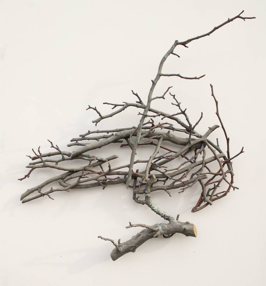 Crows in the Hawthorn 4