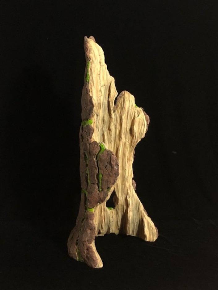 Mossy Pine