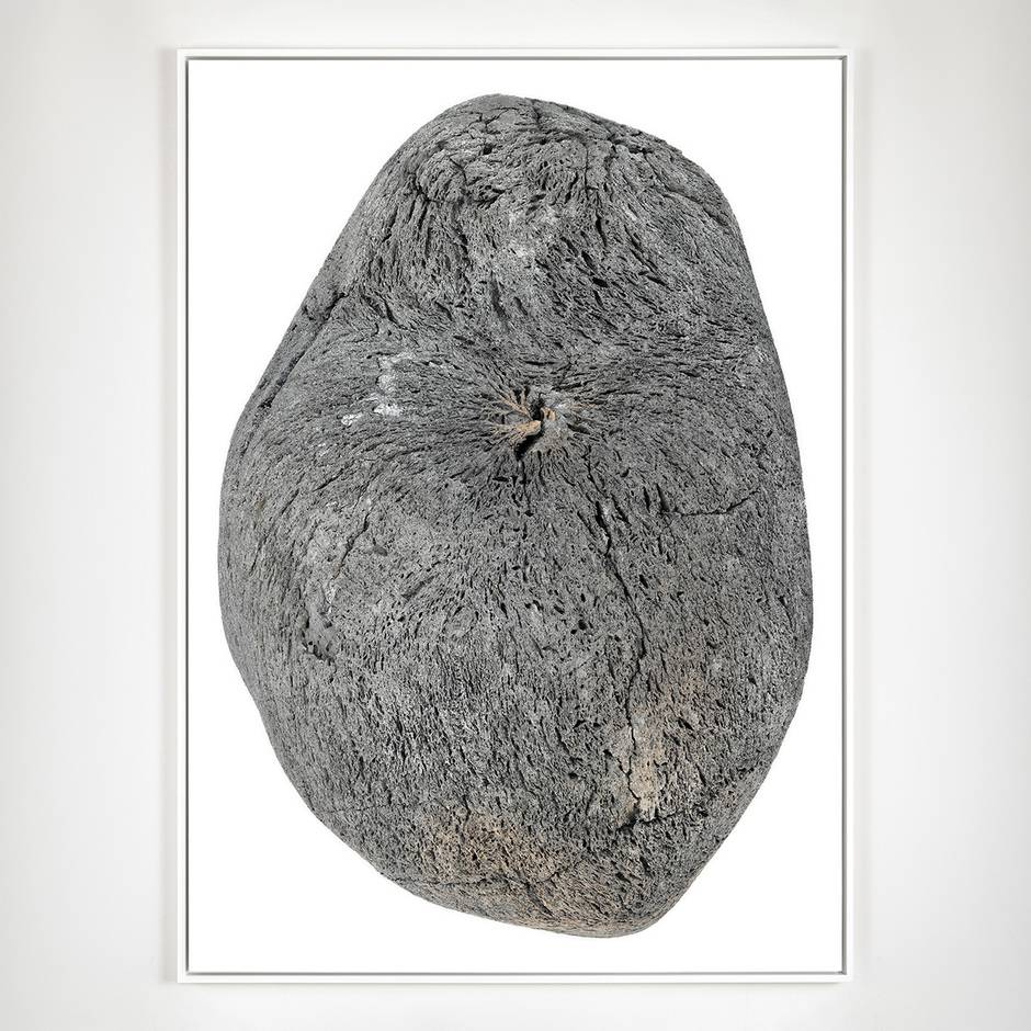 Vestiges [potato with eye]