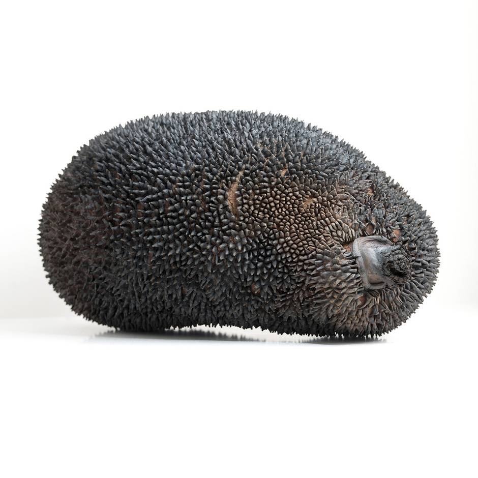 Animal, Vegetable, Mineral?