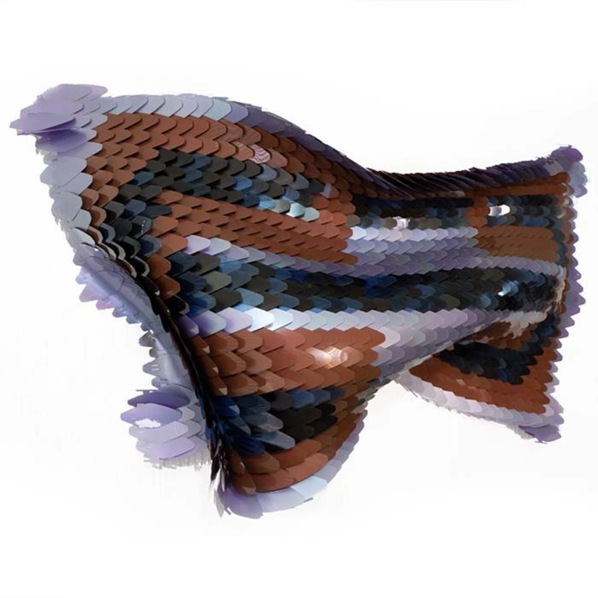 Intercoporeided VI