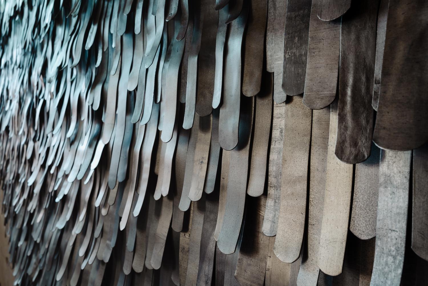 Retrices (Starling), image 2